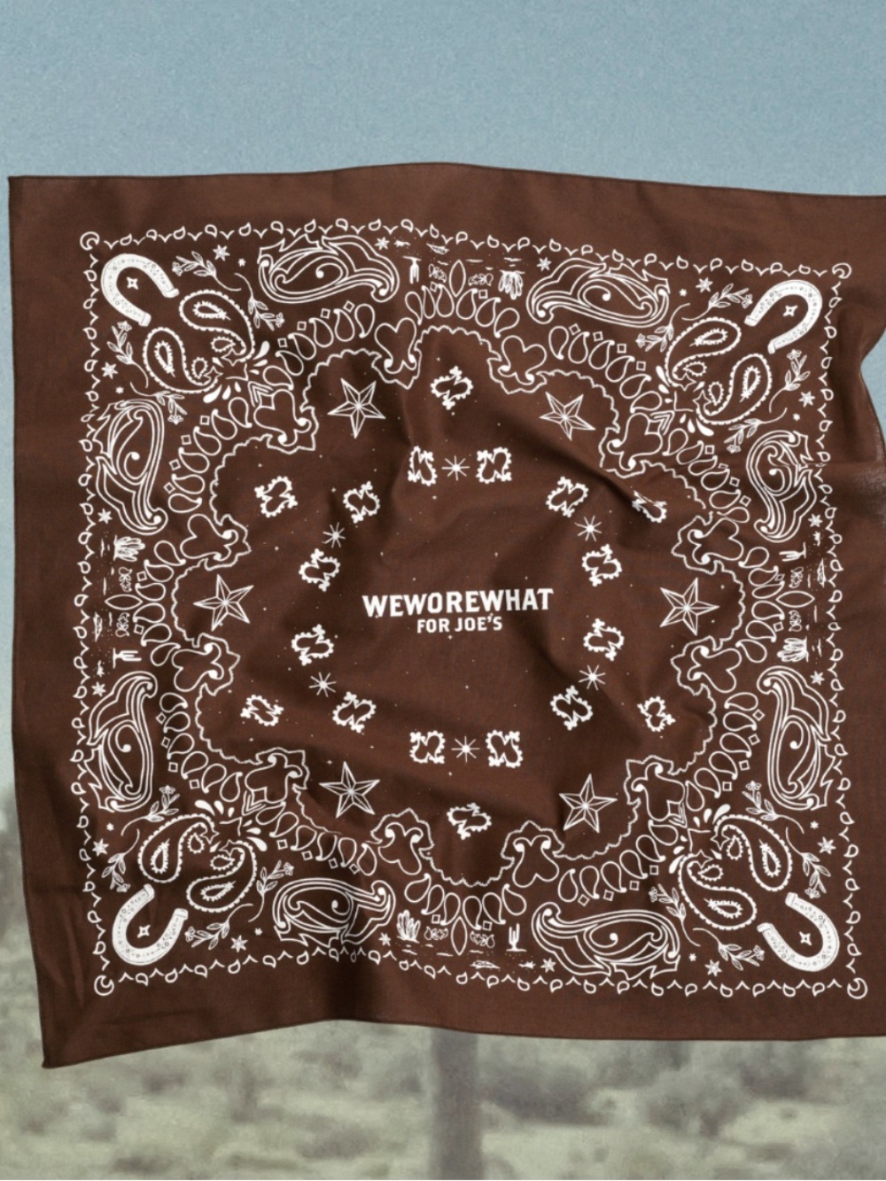 NWT Limited Edition WeWoreWhat x Joe’s Jeans Bandana Brown & White Western Print